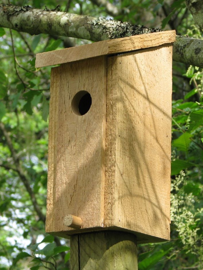 Bird House - Built